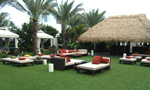 Artificial Turf Solutions