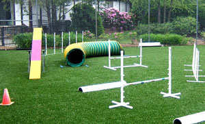 Turf Solutions for Kennels and Pet Resorts