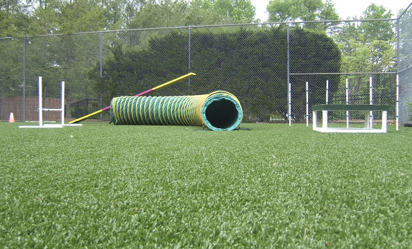 Playground+grass