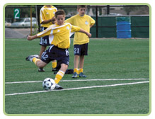 Artificial Turf